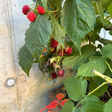 Familiengarten Διαμέρισμα Volders